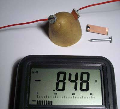 Zellenspannung einer Kartoffel: 0.8V. Ein Zinknagel und ein Stück Kupfer dienen als Elektroden