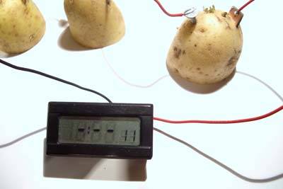 3 Kartoffeln in Reihe werden an eine Funkuhr angeschlossen